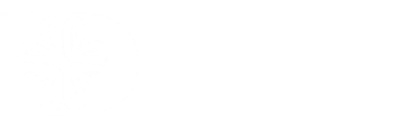 Design Art Gallery